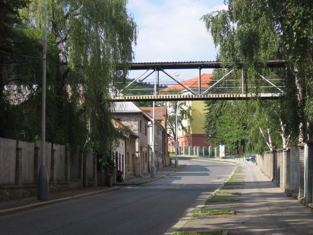 vu9967_1996_010